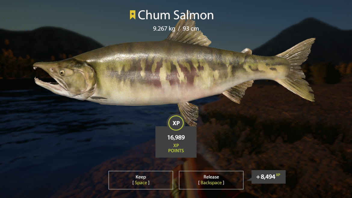 Yama-river – Chum Salmon