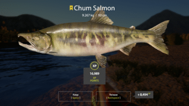 Yama-river – Chum Salmon