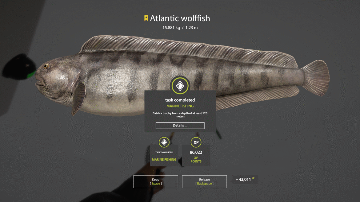 Norwegian Sea – Atlantic Wolffish