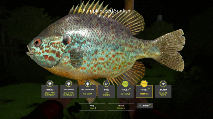 Seversky Donets River – Pumpkinseed Sunfish