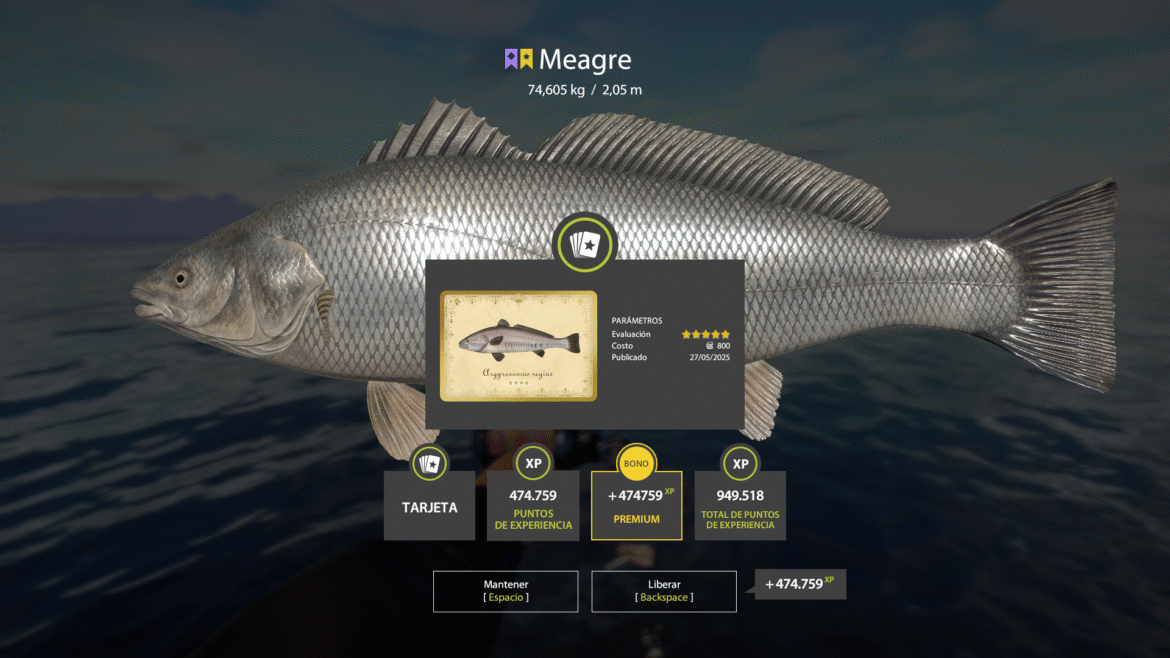 Norwegian Sea – Meagre