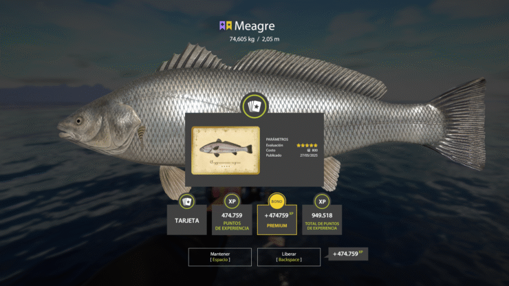 Norwegian Sea – Meagre