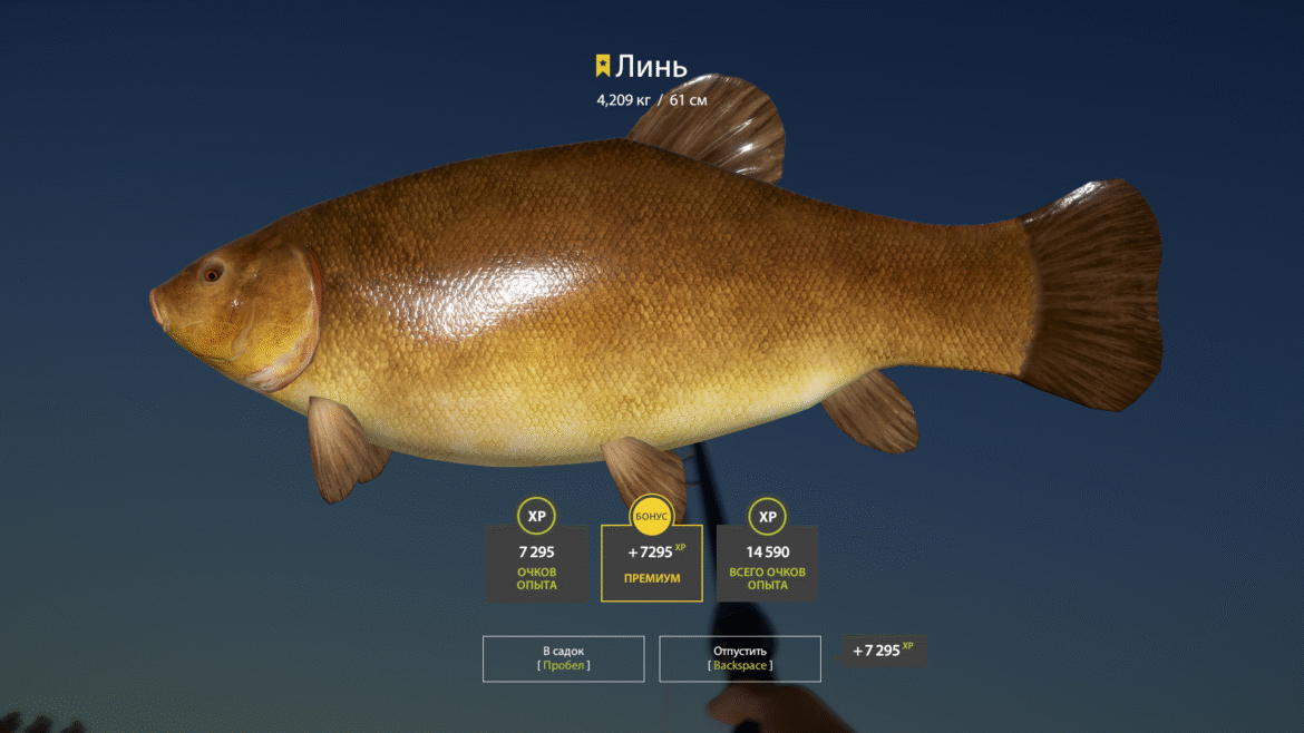 Bear Lake – Tenca