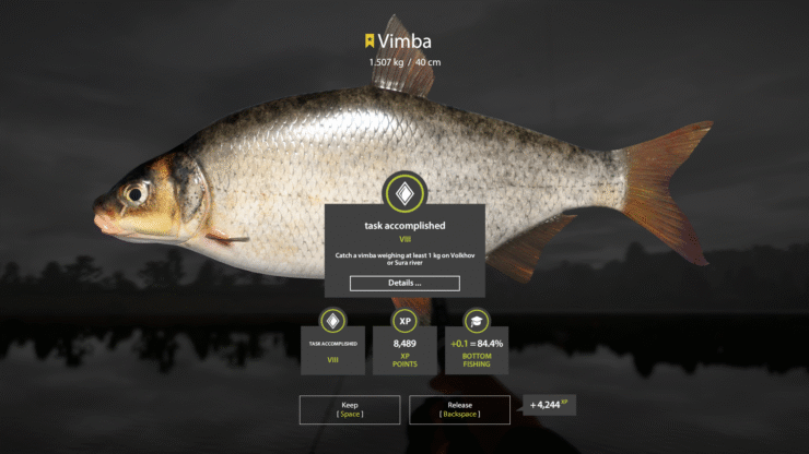 Volkhov River – Vimba