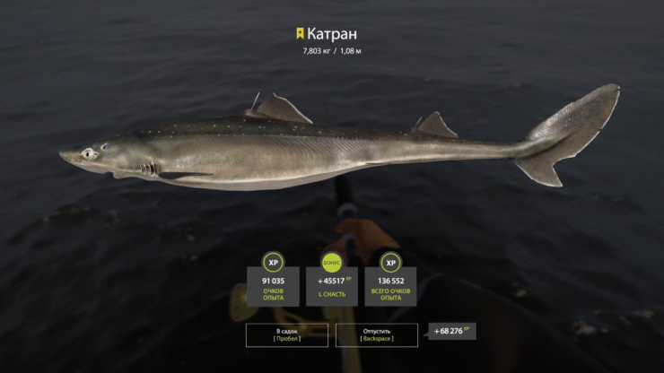 Trophy dogfish