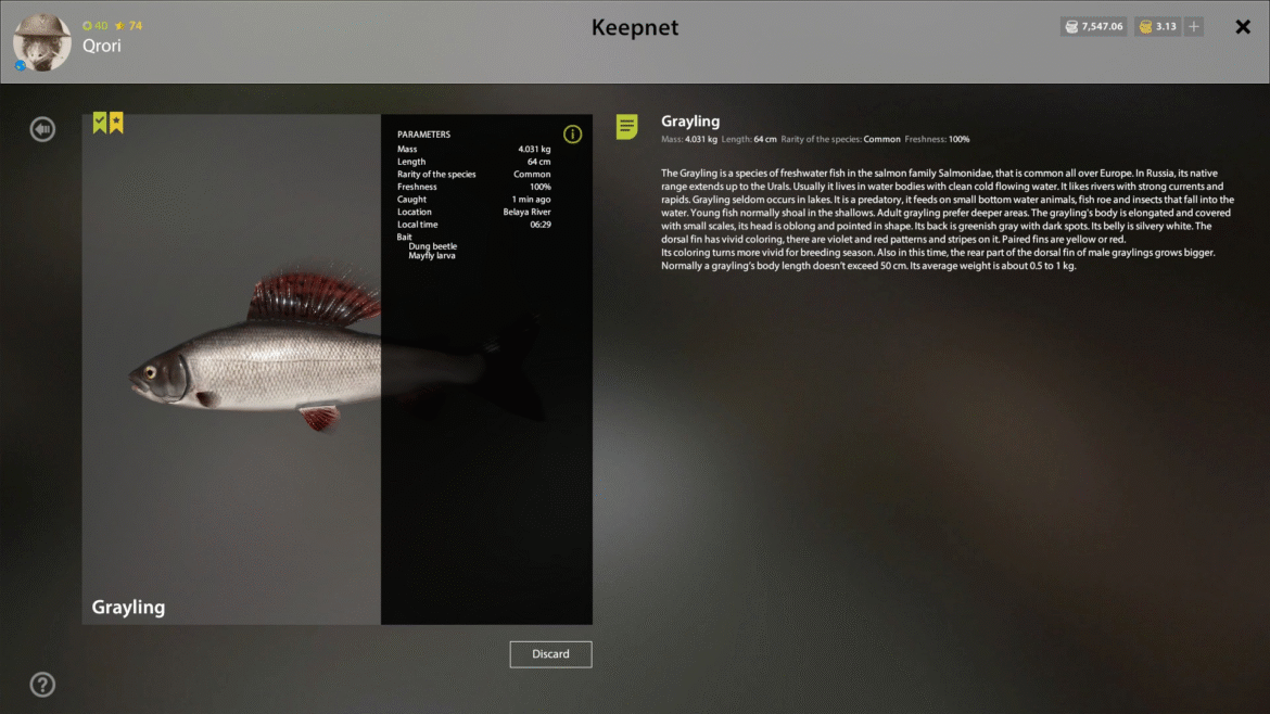 Belaya River – Grayling