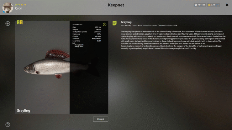 Belaya River – Grayling