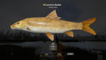 Bear Lake – Common Barbel