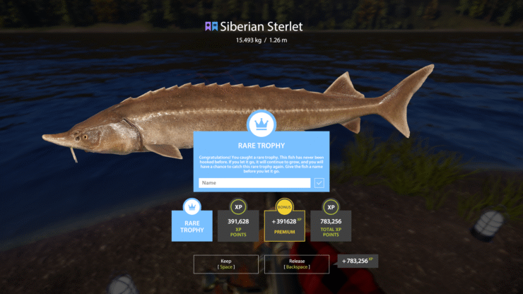 Lower Tunguska River – Siberian Sterlet