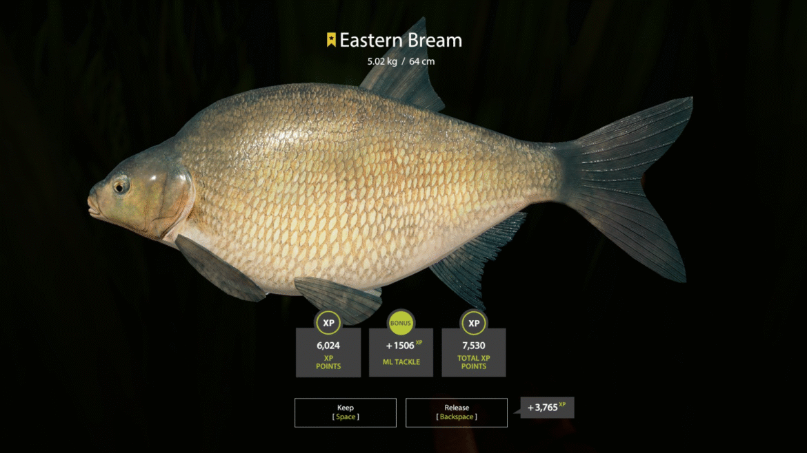 Akhtuba River – Eastern Bream