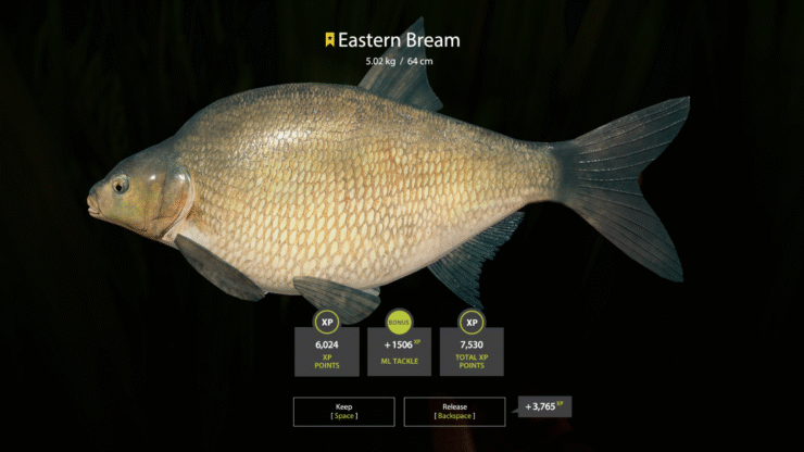 Akhtuba River – Eastern Bream