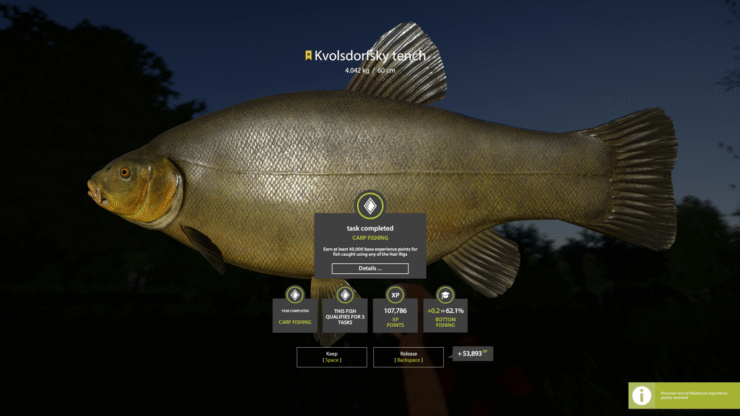 Copper Lake – Kvoldorfsky Tench