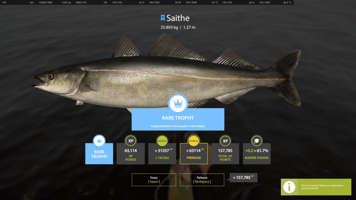 Norwegian Sea – Saithe