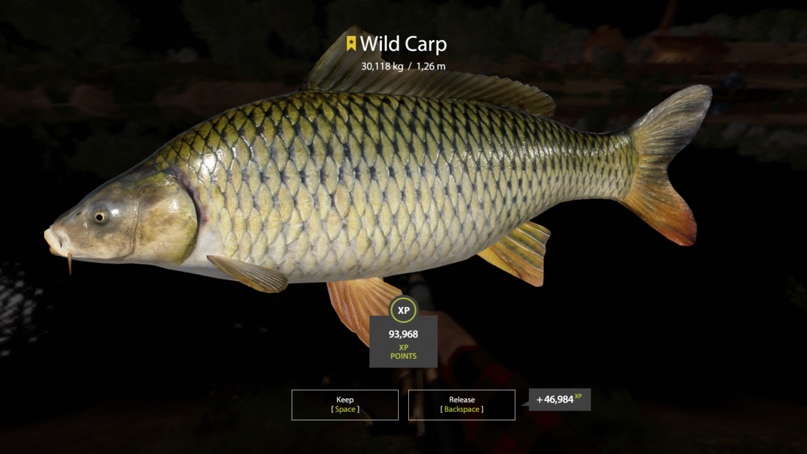 Akhtuba – Wild Carp