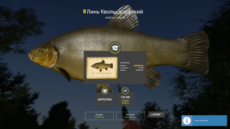 Tench Quolsfodorsky (trophy)