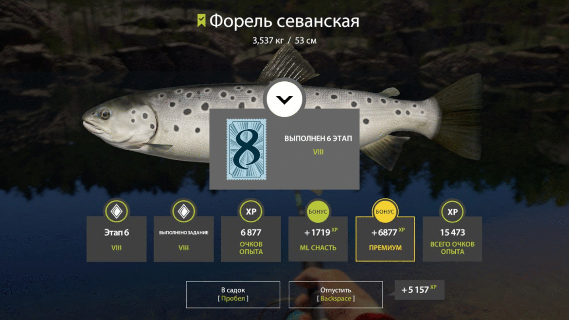 Kuori Lake – Sevan Trout
