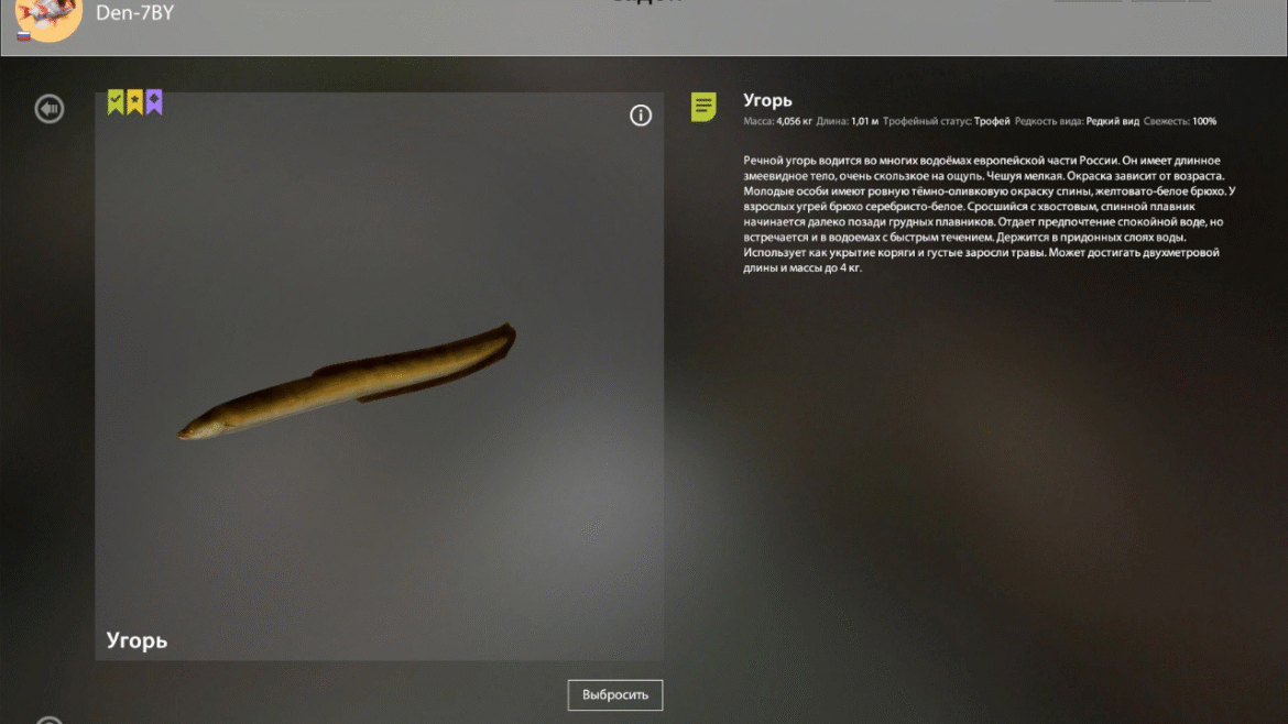 Ladoga Lake – Eel