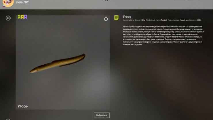 Ladoga Lake – Eel