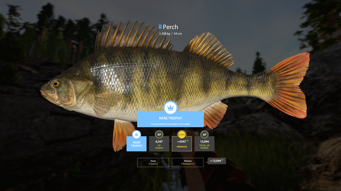 Ladoga Lake – Perch