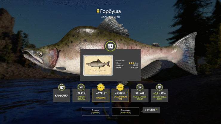 Lower Tunguska River – Pink salmon