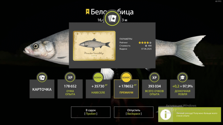 Akhtuba River – Whitefish