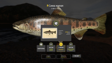 Yama River – Sima Residential