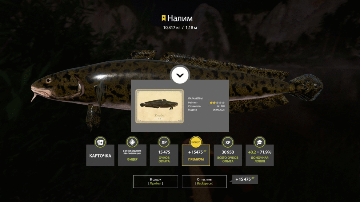 Belaya River – Burbot