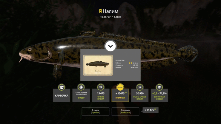 Belaya River – Burbot