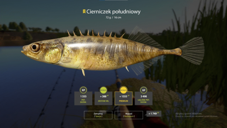 Akhtuba River – Southern Stickleback