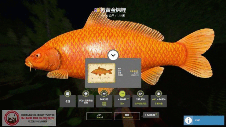 Copper Lake – Karp Koi Orenzi Ogon
