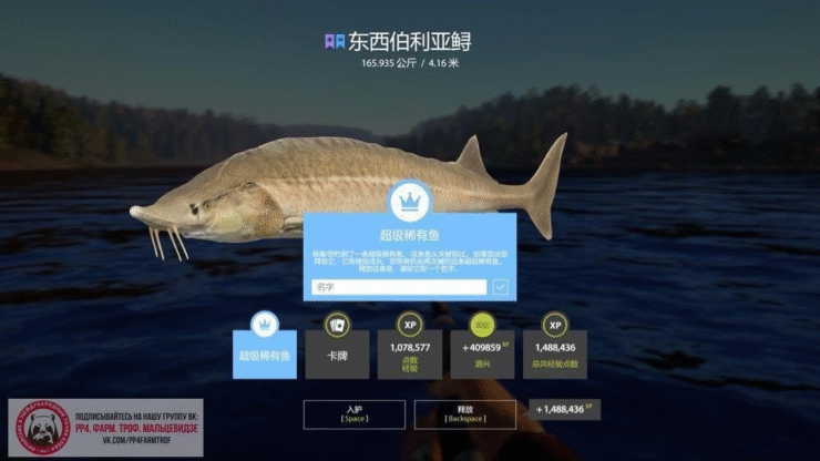 Lower Tunguska River -Eastern Siberian Sturgeon