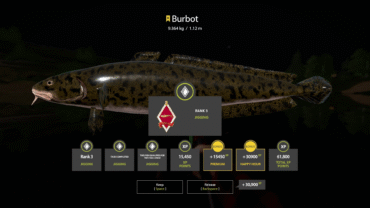 Sura River – Burbot