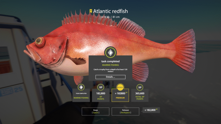 Norwegian Sea – Atlantic Redfish