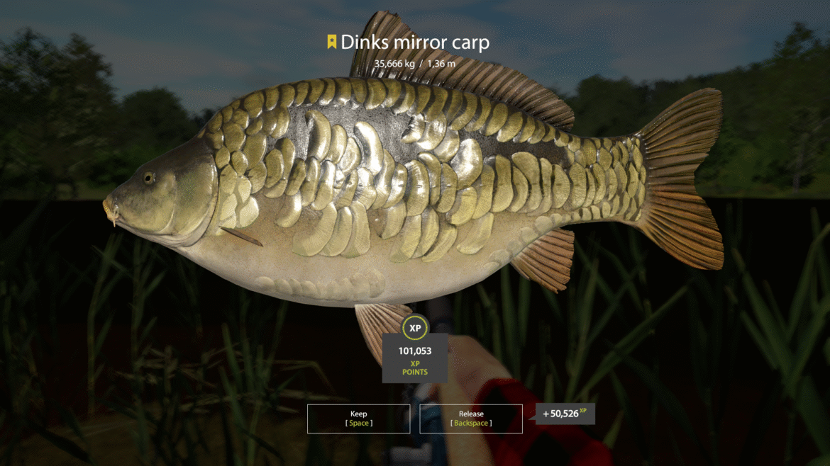 Copper Lake – Dinks Mirror Carp