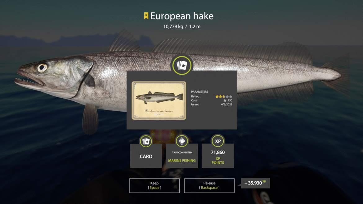 Norwegian Sea- European Hake