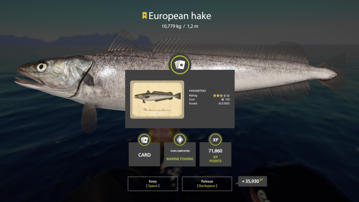 Norwegian Sea- European Hake