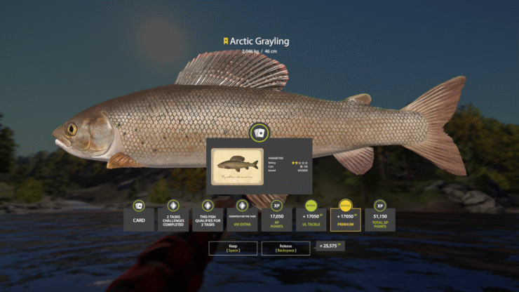 Lower Tunguska River – Arctic Grayling