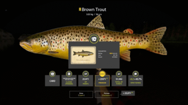 Belaya River- Brown Trout