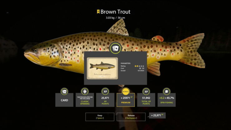 Belaya River- Brown Trout