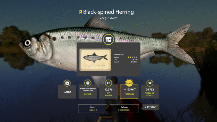 Akhtuba River – Black-spined Herring