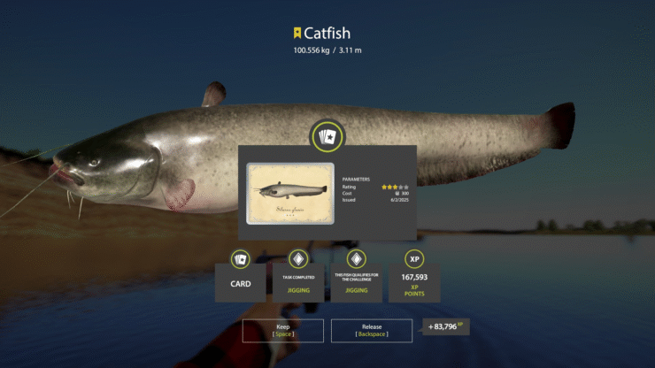 Akhtuba River – Catfish