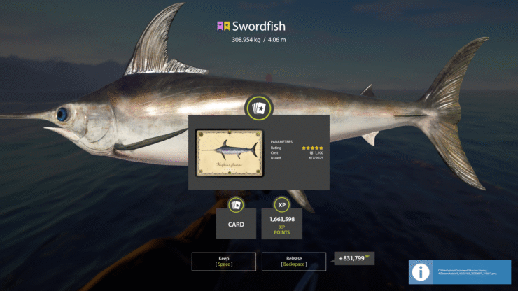Norwegian Sea – Swordfish