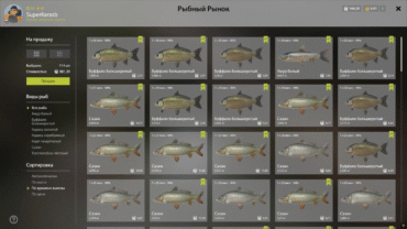 Aakhtuba River – Buffalo, Carp, Grass Carp