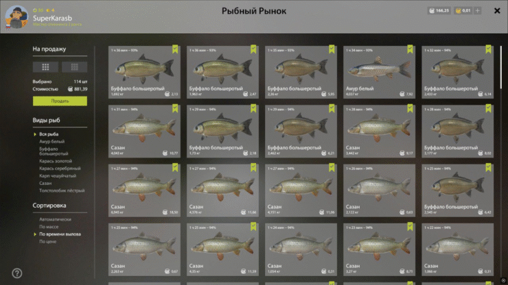Aakhtuba River – Buffalo, Carp, Grass Carp