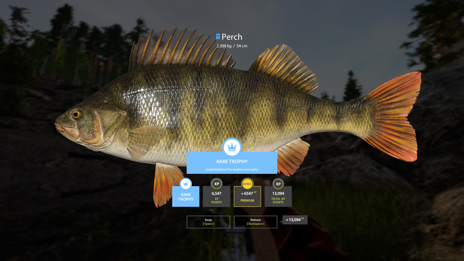 Ladoga Lake – Perch