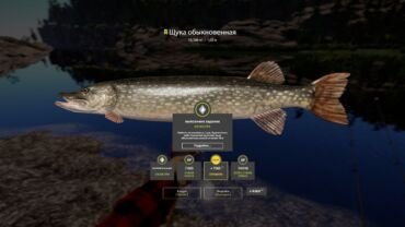 Kouri Lake – Pike Trophy