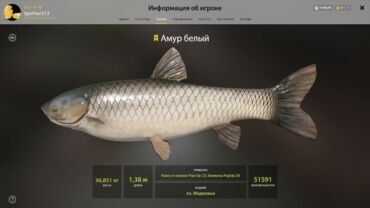 Bear Lake – Grass Carp